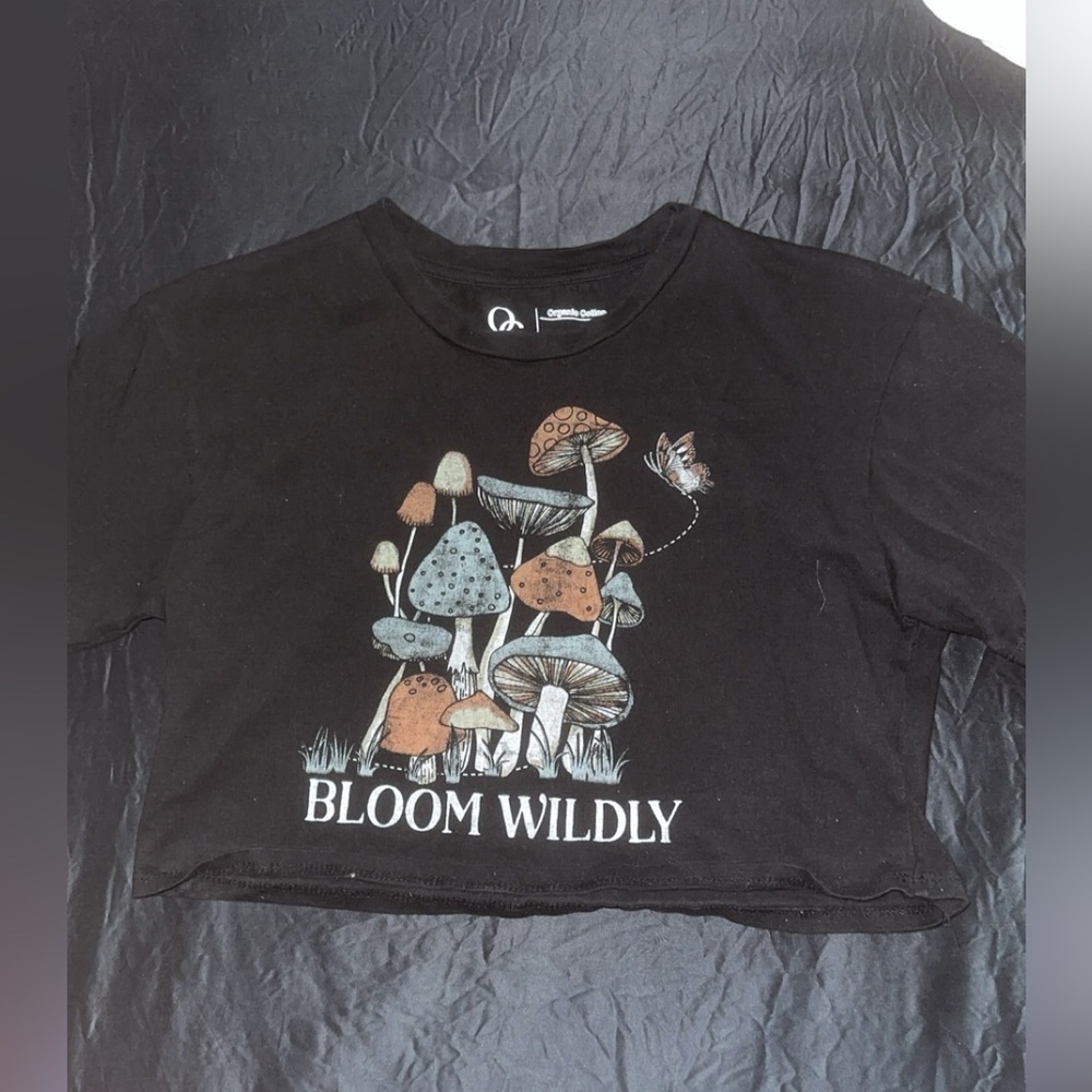 Black mushroom crop